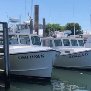 Fish-Hawk