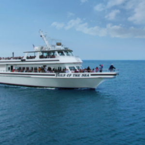 105' Tails of The Sea